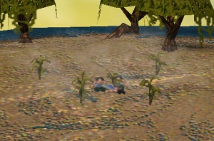 Swamp - Populous Wiki